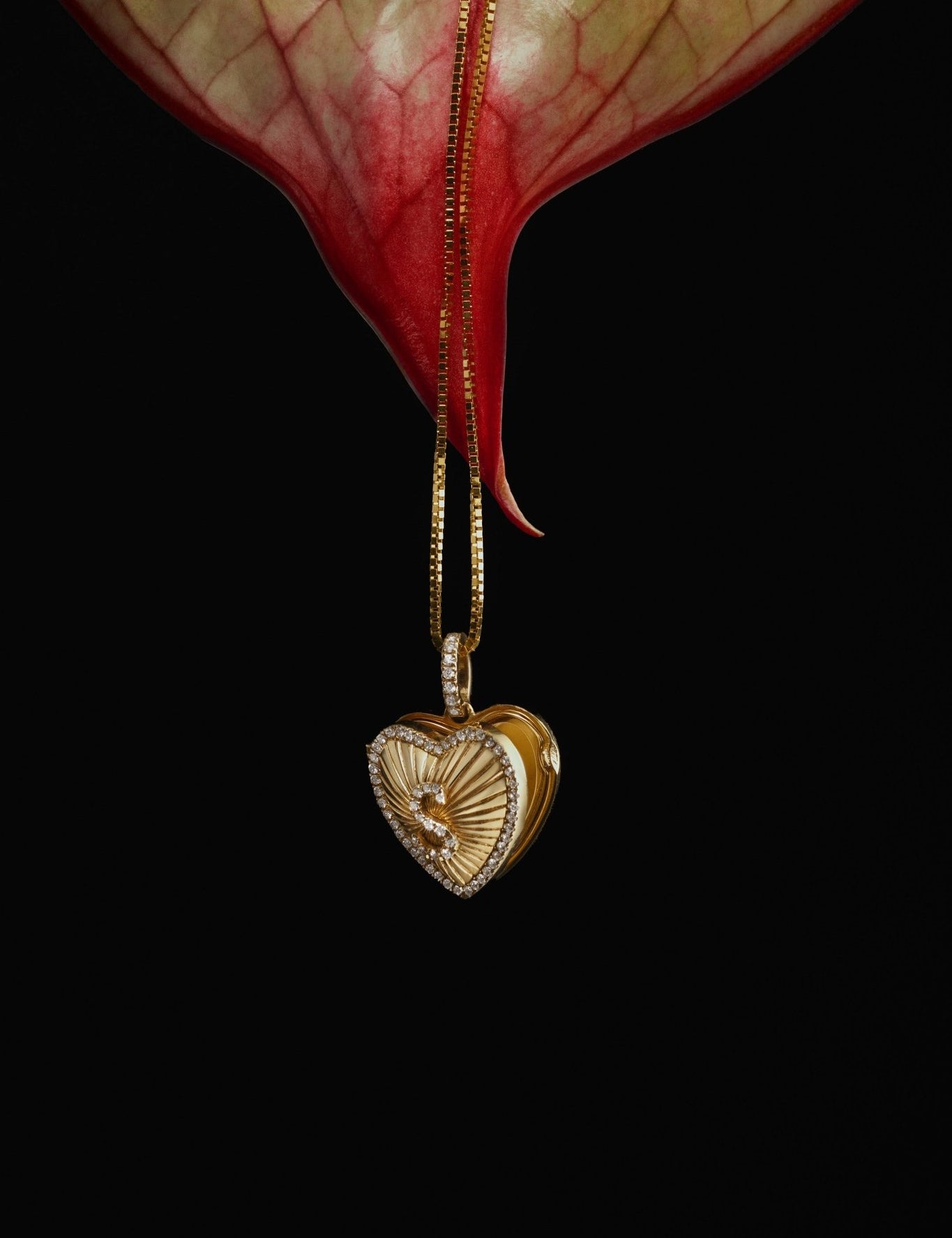 Affection Heart Locket - SIA Jewelry