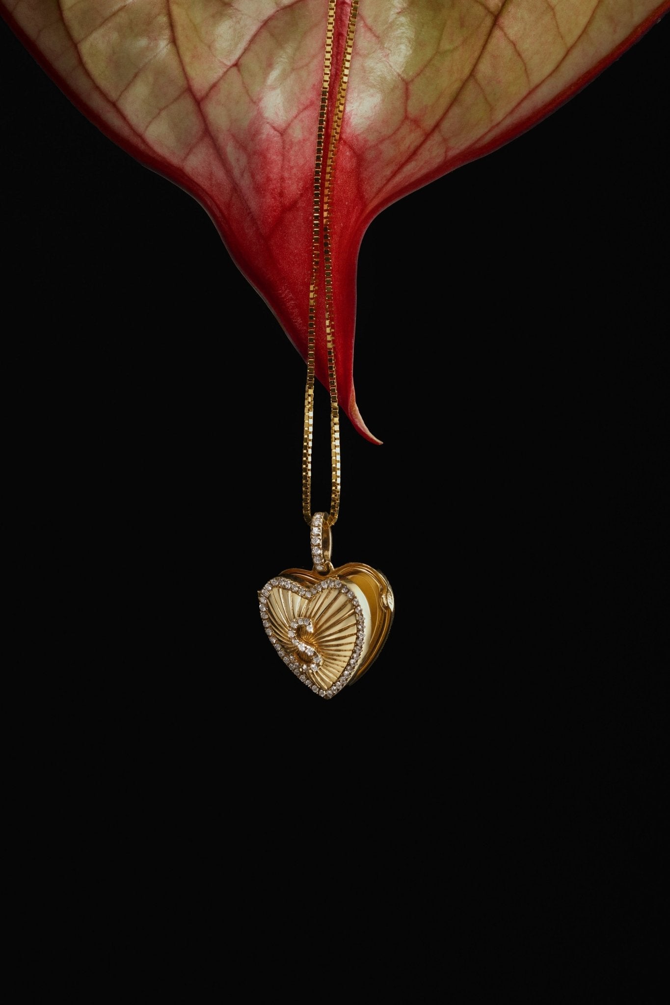 Affection Heart Locket - SIA Jewelry