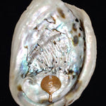 Elysian Shell Diamond Pendant - SIA Jewelry
