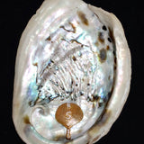 Elysian Shell Diamond Pendant - SIA Jewelry